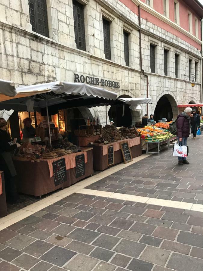 La Perle De La Vieille Ville D'Annecy Διαμέρισμα Εξωτερικό φωτογραφία